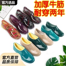 ţ�����ЬŮ�\��ˮЬ��ˮ�����ӽq��Ͳ�͎͹����N���ڱ�Ь�zЬ��