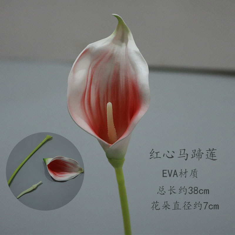 레드 하트 칼라