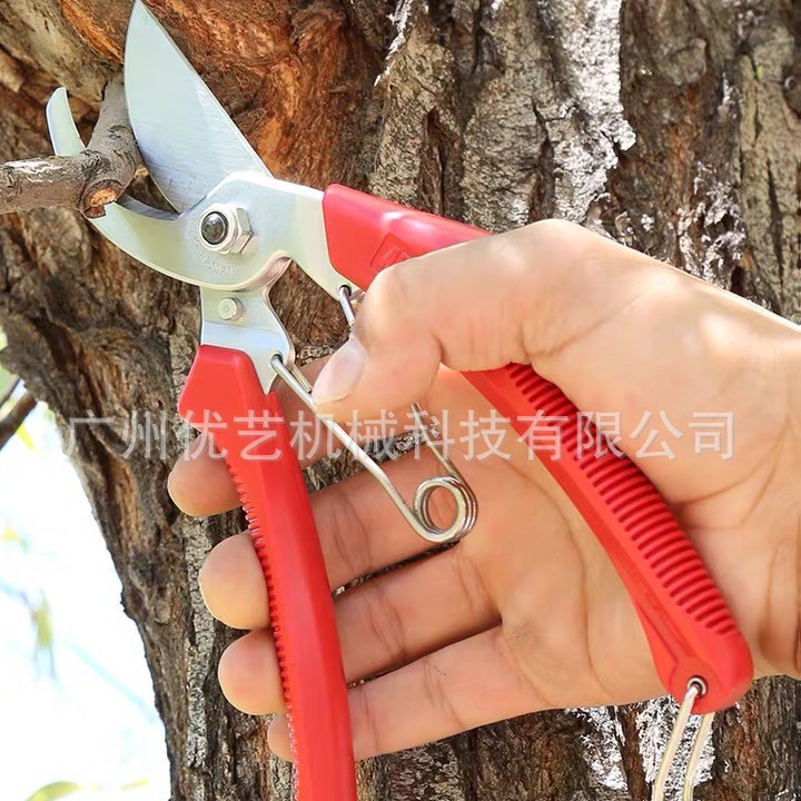 日本进口爱丽斯ARS修枝剪 120DX整枝剪 果树剪花艺剪 粗枝剪