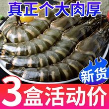 【超大】新鲜黑虎虾超大特大号鲜活冷冻九节虾斑节虾虎头虾海鲜