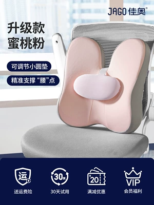 Back Cushion Support Lumbar | Waist support - upgraded-peach-pink-regular