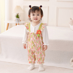 Idea Baby Autumn Bodysuit 2023 New Women's Baby Stylish Hairy Coat Newborn Long Sleeve Spring and Autumn Outfit 3250