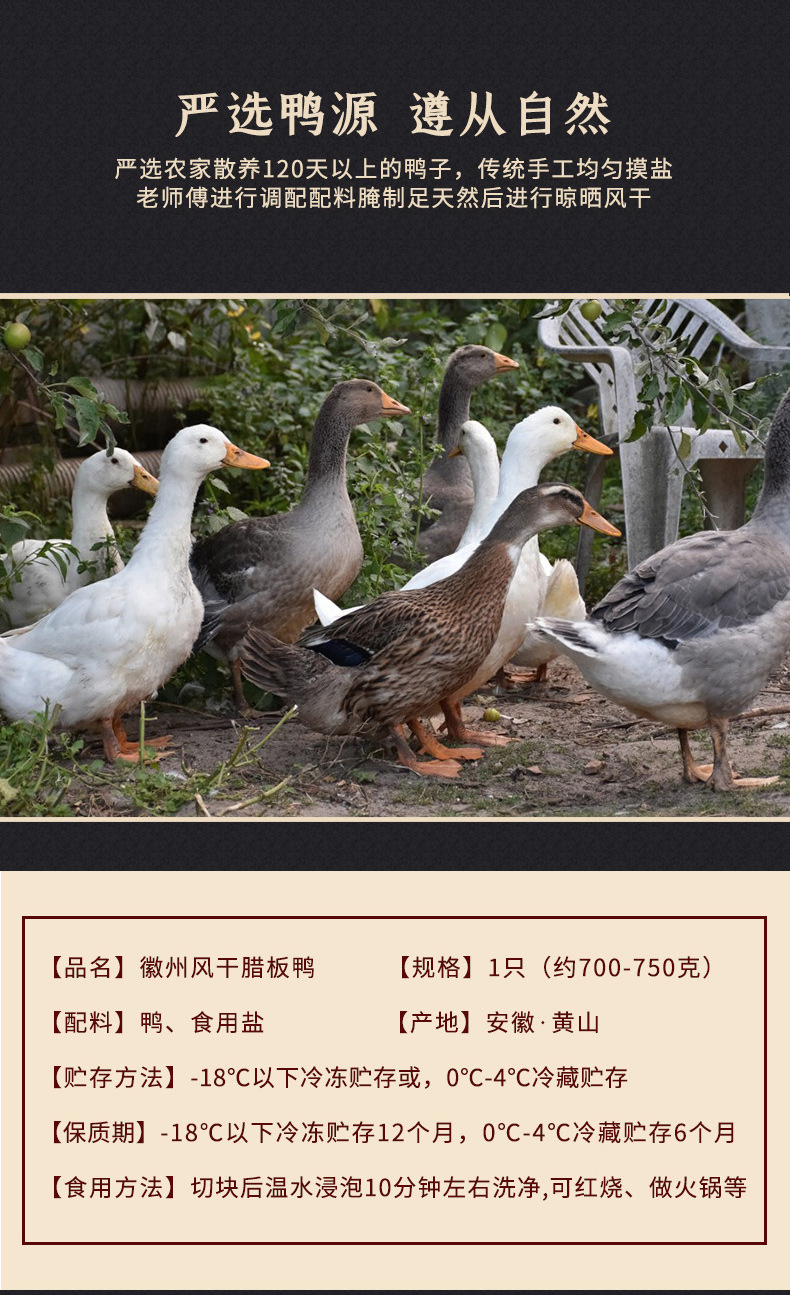 新版-详情页_03