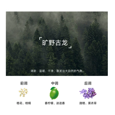 Tiktok 2026 Hot-Selling Classic Car Air Freshener Solid Balm New High-End Car Perfume Long-Lasting Fragrance Premium (Car Perfume Aromatherapy) - guan-shan-wilderness-cologne-1-bottle