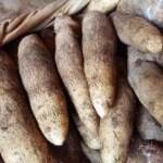 甄选 时令蔬菜脚板薯新鲜现挖白心粉糯大薯子参薯毛薯非淮山药湖