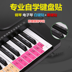 886154 Universal Electric Piano Keyboard Sticker Electronic Keyboard Sticker Piano Paper Keyboard Finger Practice Staff Notation Music Notes Scales