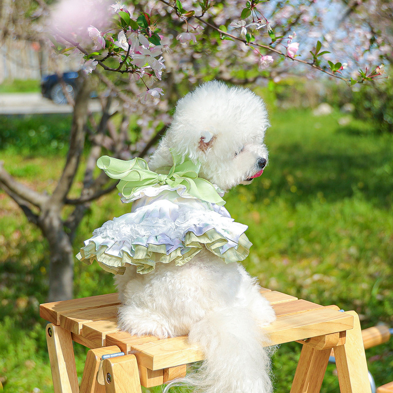 スポットクロスボーダー人気ペット子犬猫服工場直販春夏花柄プリンセススカートと帽子の組み合わせ|undefined