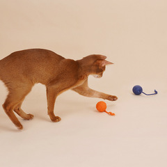 Zeze cat toy cat stick, bite-resistant catnip ball, cat toy set, cat toy, self-stimulating kitten pet