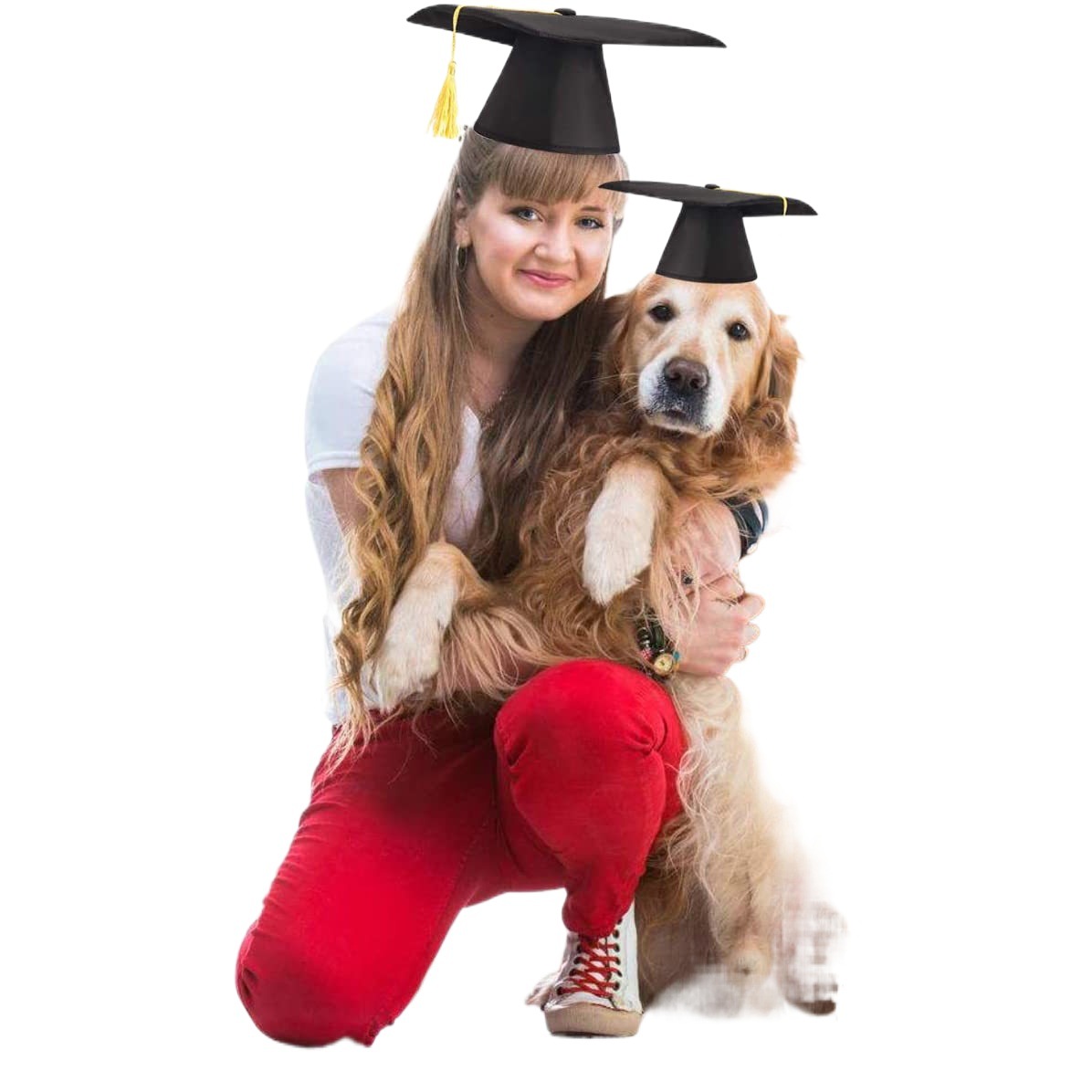 Sombrero de graduación de mascotas perro gato sombrero de graduación perro sombrero de soltero sombrero de graduación ACCESORIOS FOTOGRÁFICOS