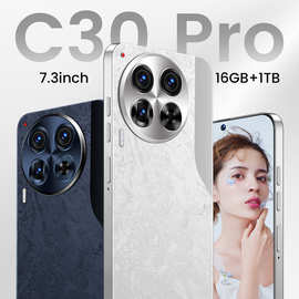 热销ozon新款C30 Pro跨境手机一体机2G+16GB安卓智能大屏幕手机厂