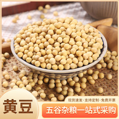 東北産大豆 25kg 豆腐や豆乳を作るための特別な大豆のバルク卸売、非遺伝子組み換え