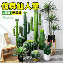 �����������쾰�҃Ș��������b����������ᎧɳĮ�Gֲ������