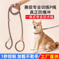 犬のロープ防爆パンチPチェーンは犬の牽引ロープを散歩します。