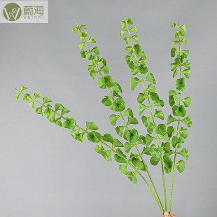 С����ؐ�������滨��Ʒ�|��c�Ҿ��b�Ʒ�廨��Ʒֲ���ȼ����c�Y