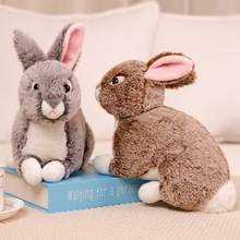可爱真趴兔公仔兔兔毛绒玩具小白兔玩偶25厘米生肖兔子灰色野兔