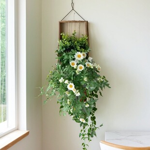 �����b�С�r�Ւ��ins�Lֲ���Gֲ�ڒ�ٻ�����