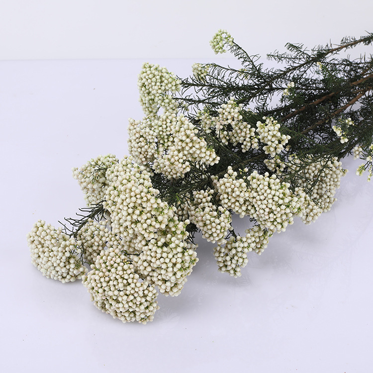 小米花 头条搜索