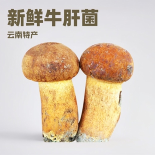 ���r�Sţ�ξ� ����خa �ϻ��^�SĢ��Ұ���S���Sه�^�F؛���l���]