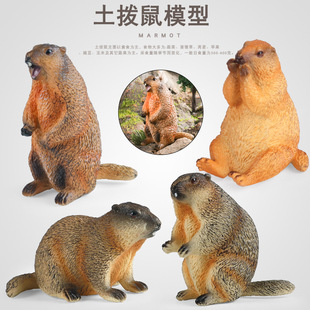 �羳���ă�ͯ�J֪��̷���Ұ������ģ�������󺵫H����쾰�[��