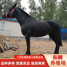 �㘷�������Rƥ���R �T�˵°��R �ɹ��R�����RƷ�N