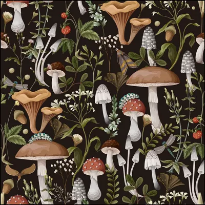 Room Decoration Painting Hanging Painting – Avtomobil döşəmə paspasları - mushroom-forest-01-5080cm