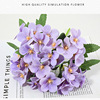 Amazon goods manufacturer Direct selling 5 fork begonia flower hydrangea flower simulation flower silk flower DIY decorative flower background