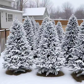 纯PE圣诞树植绒落雪加密积雪圣诞节装饰品180cm210cm豪华仿真树
