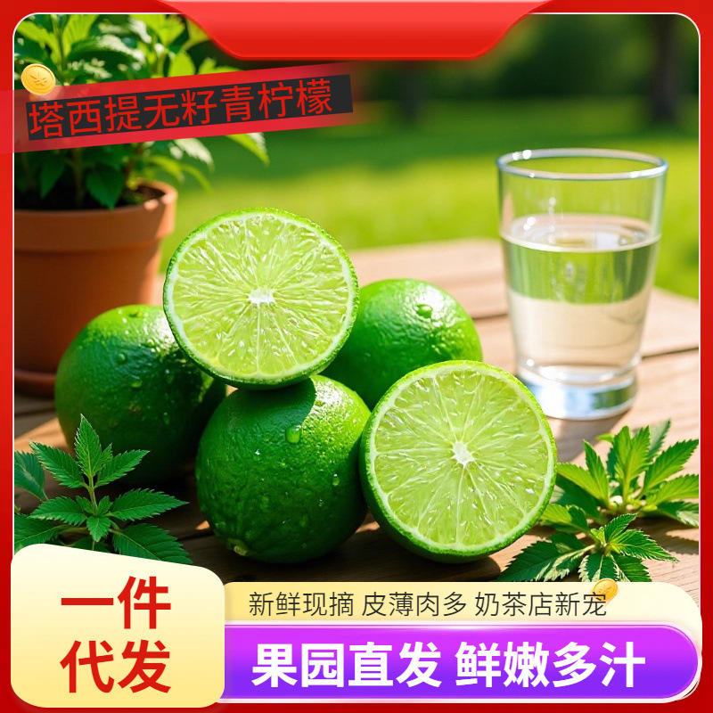 Lemon Four Seasons Fresh Fruit Thailand Imported Tahiti Seedless Green Lemon Milk Tea Shop Direct Supply Wholesale Free Shipping