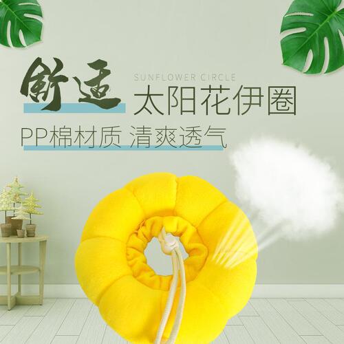 Sunflower Elizabeth puppy cat anti-licking and anti-biting collar dog neck collar shame circle pet supplies wholesale