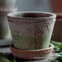 С��Ͳ���ն��⻨�脓��ֲ��С����͹�͸��t�����������������