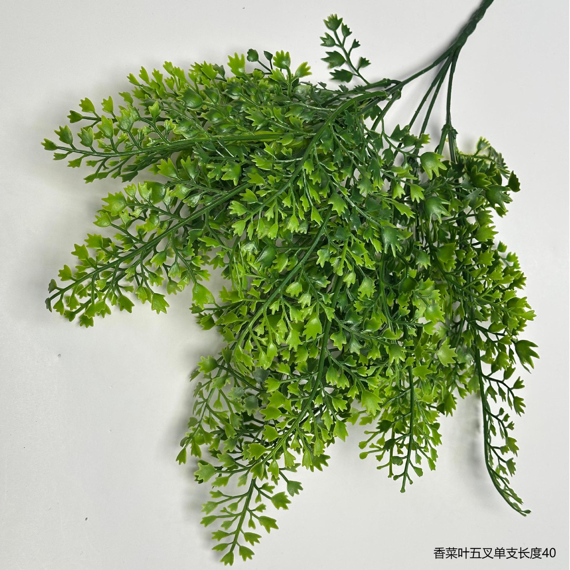 고수 잎