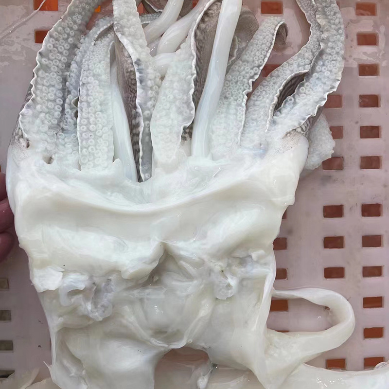 微信图片_202303061135088