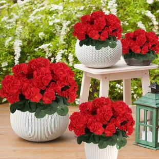 �羳���R�d������滨���ÿ����Ļ������ֹ����Ҿ��bٺ��Ļ���