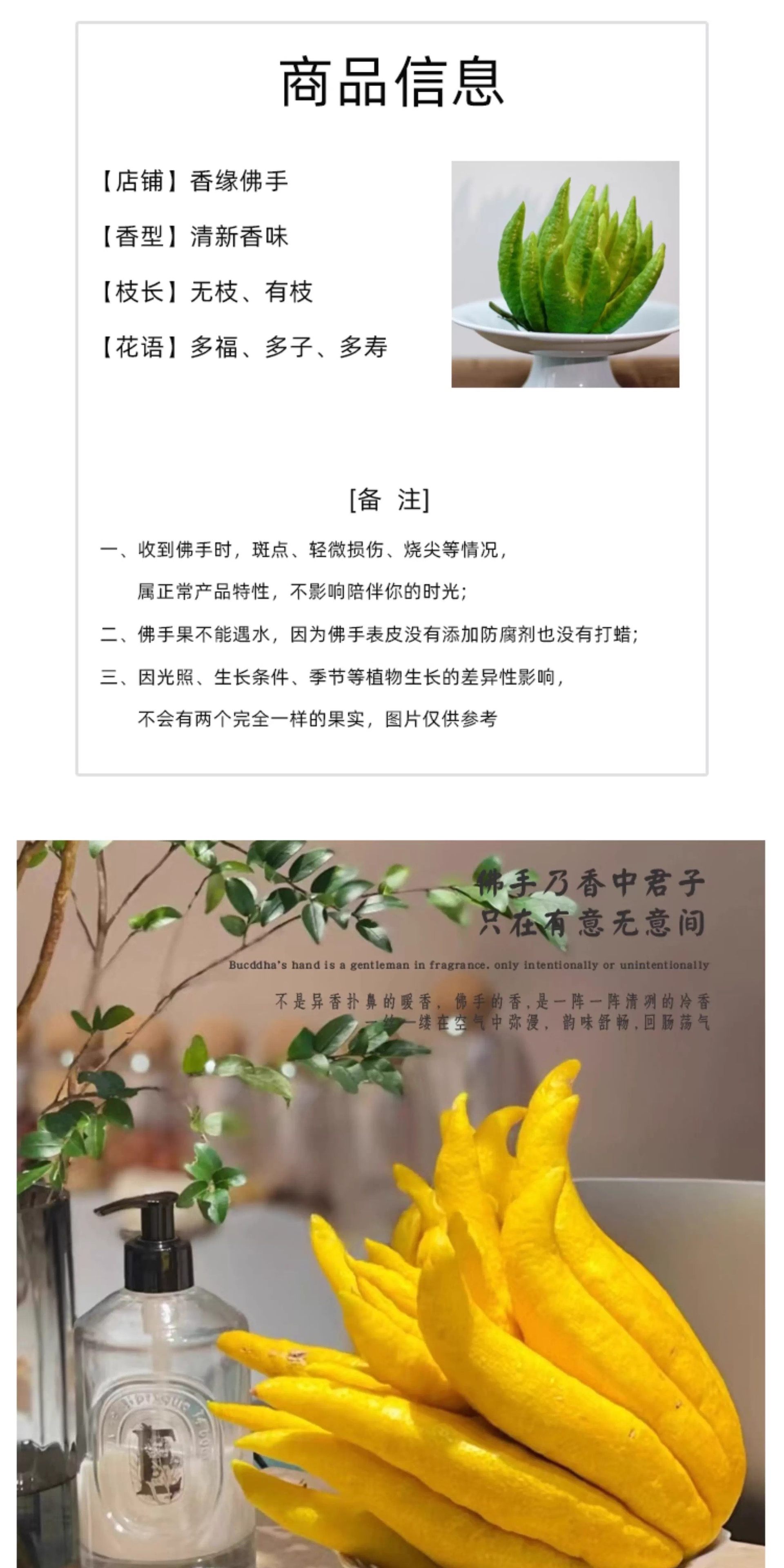 Fresh Fingered Citron Branches Buddha Hand Fruit for Water Cultivation and Display key features