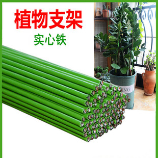 ���X������m����ֲ���������͹̶�֧�܈@ˇ���ԾGֲ���ܷ�֦�F�z