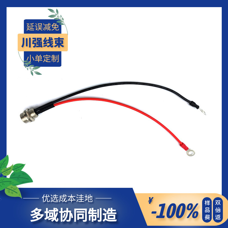 M12 Aviation Connector Male and Female Soldering with Rv Terminal Two-Core Red and Black Wire Waterproof Connection Tinned Copper Wire Connector M12 Aviation Connector Male and Female Soldering with Rv Terminal Two-Core Red and Black Wire Waterproof Connection Tinned Copper Wire Connector