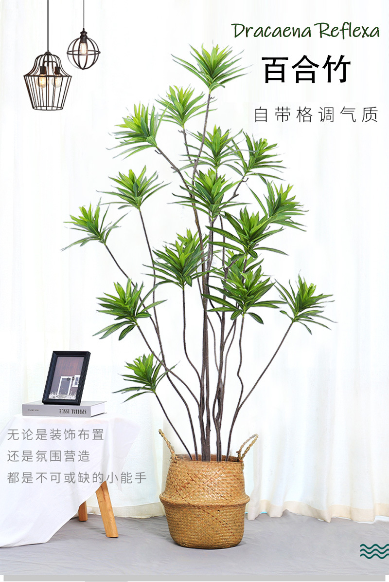 定义