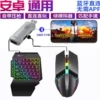 Mouse *S, x8