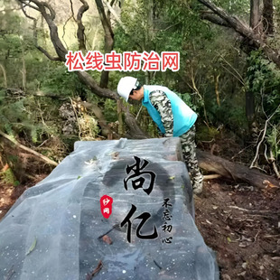 304���P䓰���W���ɘ���ξ��x���ٽz�W�ɷ��гߴ��r�I���x�W�S