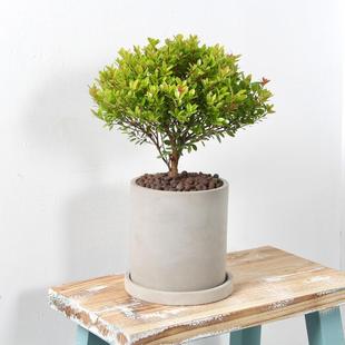 С�~����҃ȾGֲ�k�������������ļ�������B�̨���Wins�L��