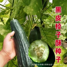 ��Ƥ�����������ֹϴ�ϳ���˹��������������¶�����ˮ������