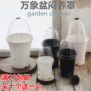 �f����������ψA�λ��萞�B�ֱ�����¶ʮ�����w�ӱ��ز��NǤ��