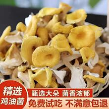 ����u�;���؛�������SĢ�Ҝ��I�B��ζ�u���S���S�����SĢ�خa
