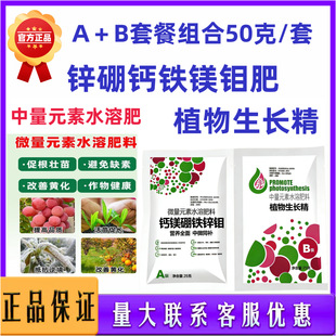 �}�V���\�FҺ���~�������Ԫ��Һ�w�ʴٻ������G�~�����}�V���\�F