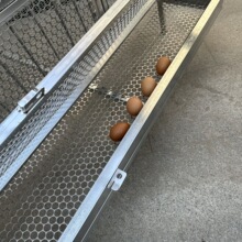 ��������u�\���\���ӻ\�Ԅ��յ���͵�Բ��P䓾WƬ����\��������