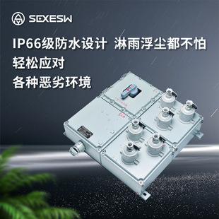 Sexc Anti-Corrosion, Dustproof, Explosion-Proof Maintenance Power Socket Box with Ip66 Dust and Hazard Environment Certification