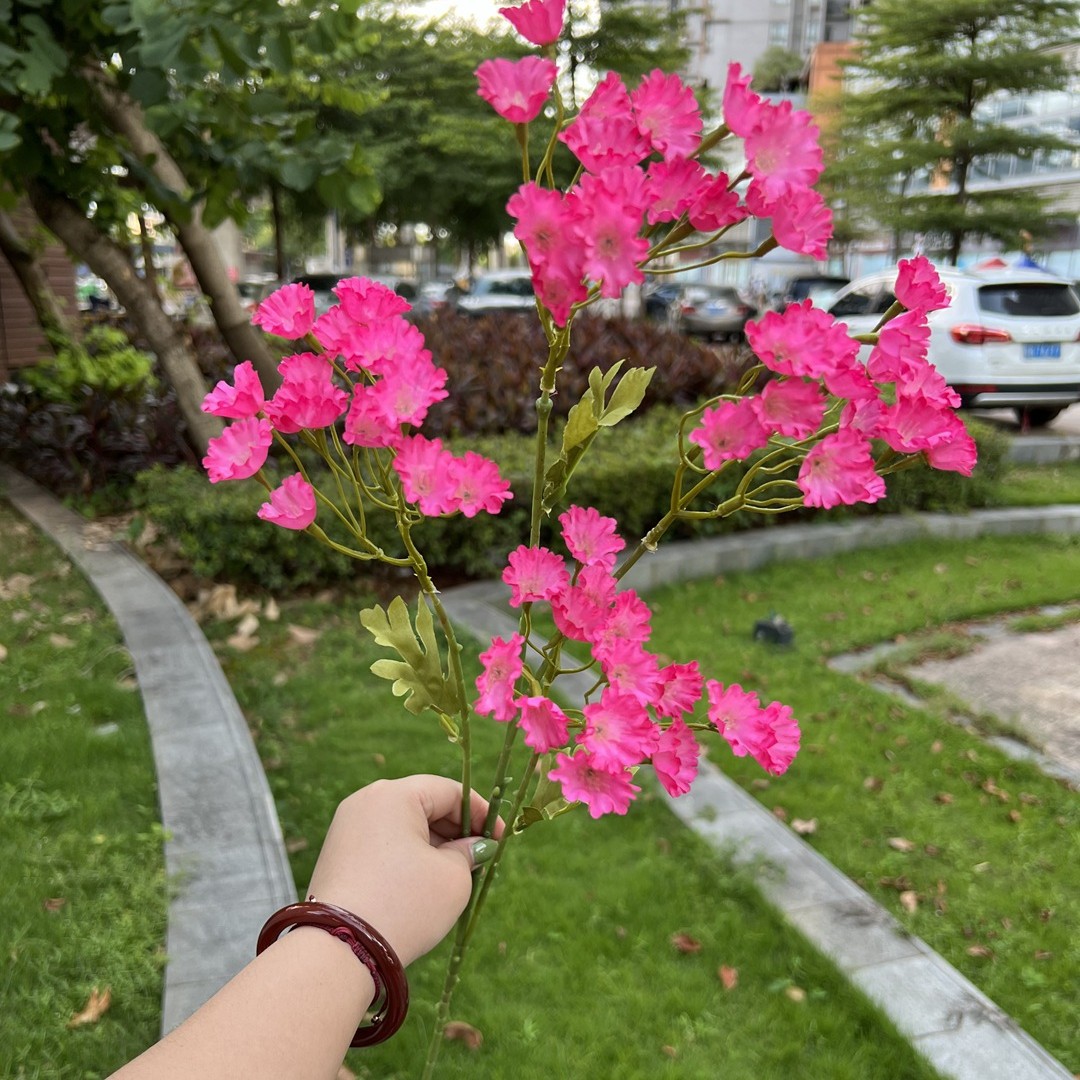 Simulación de multi-cabeza Nomeolvides Rose Red