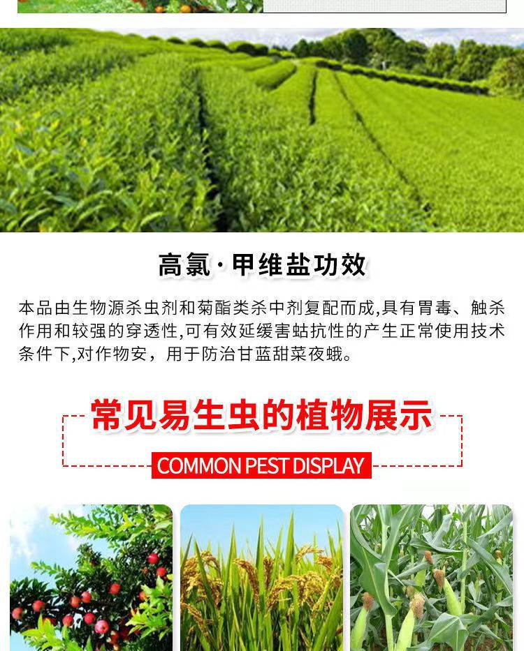 微信图片_202403311055401