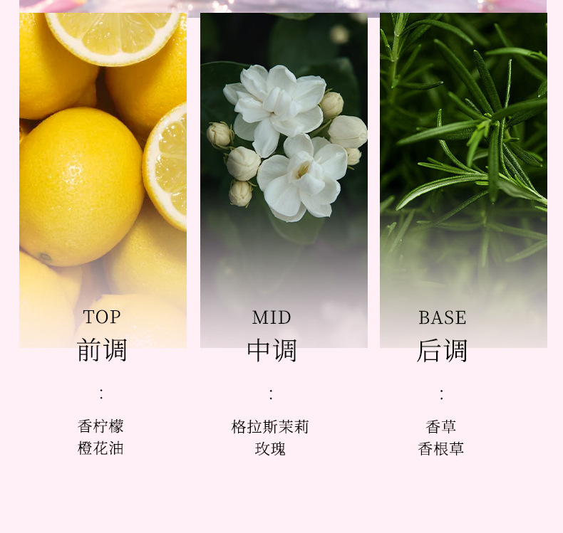 Xiaomanyao Cologne Men's Car Fragrance New Long-Lasting Scent High-End Car Perfume for Odor Removal in Vehicles