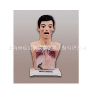 Kay-4/1 with Warning Transparent Gastric Lavage Mechanism Model Gastric Lavage Teaching Model Nursing Skills Training Model